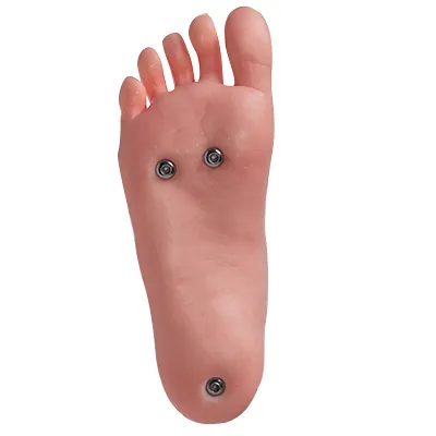 Standing - Capability to stand upright and enjoy a variety of more intricate positions, providing added realism and versatility.