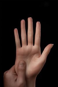 Hard Hands (More durable)